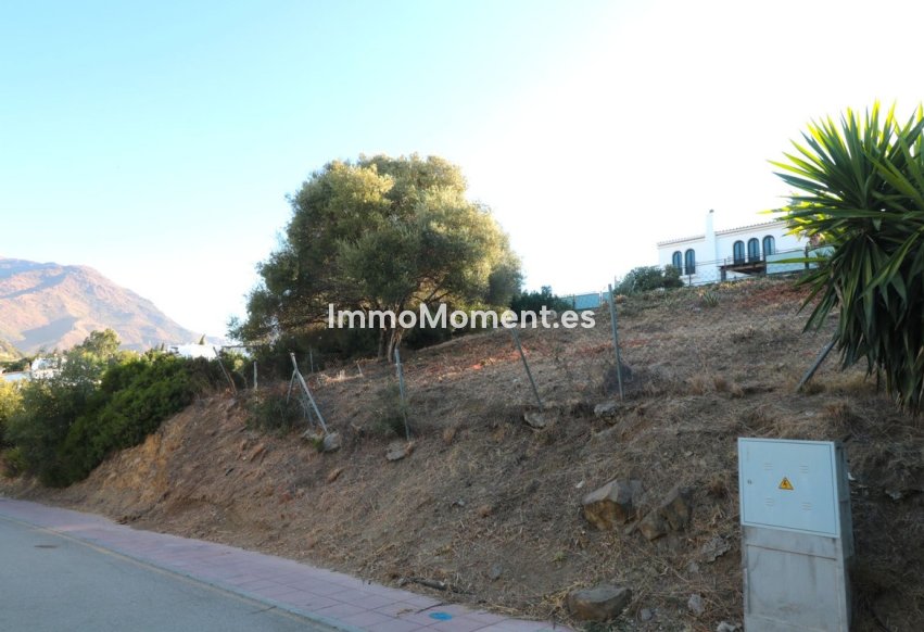 Wiederverkauf - Grundstück - Estepona  - Estepona Centro
