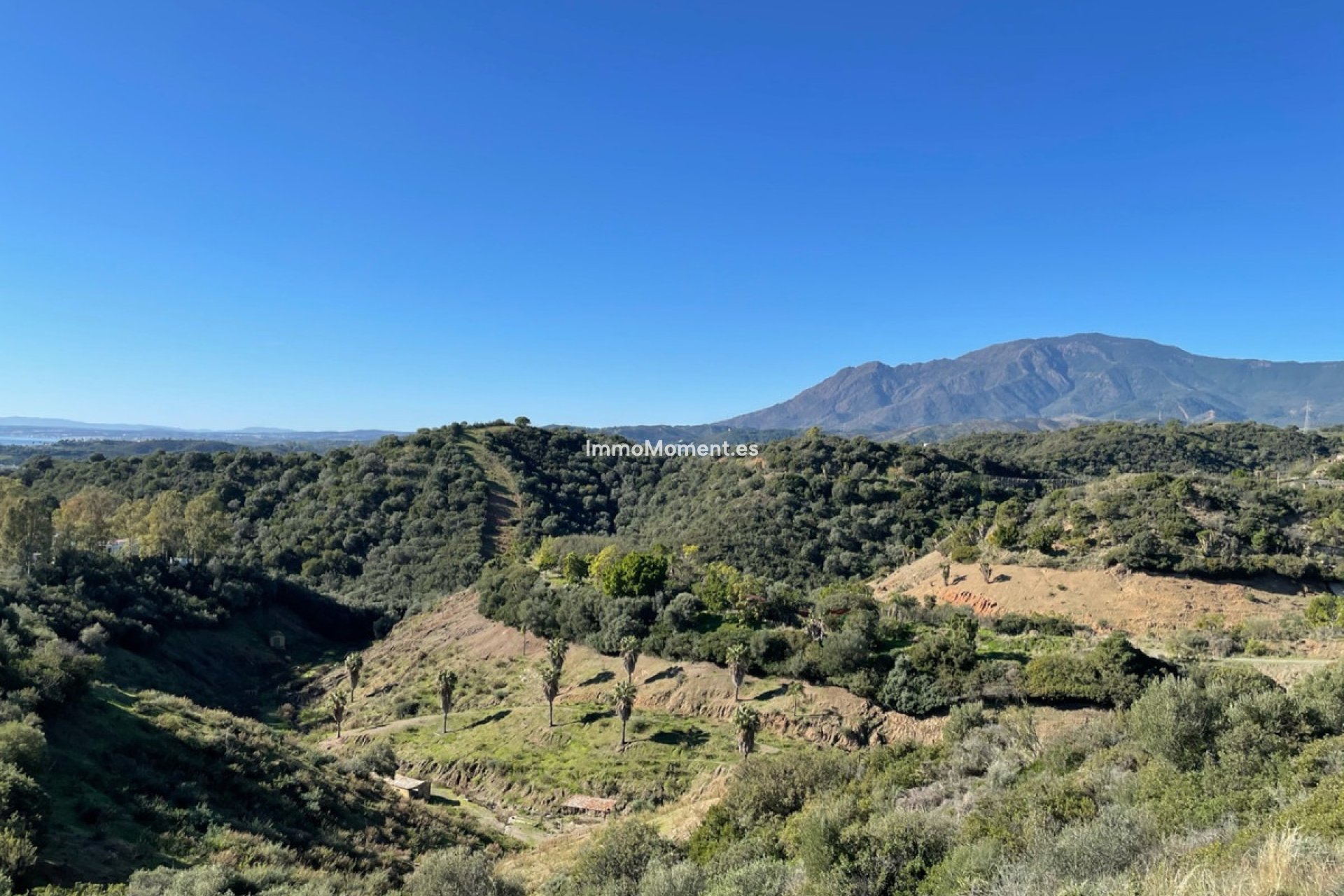 Wiederverkauf - Grundstück - Estepona  - Estepona Centro
