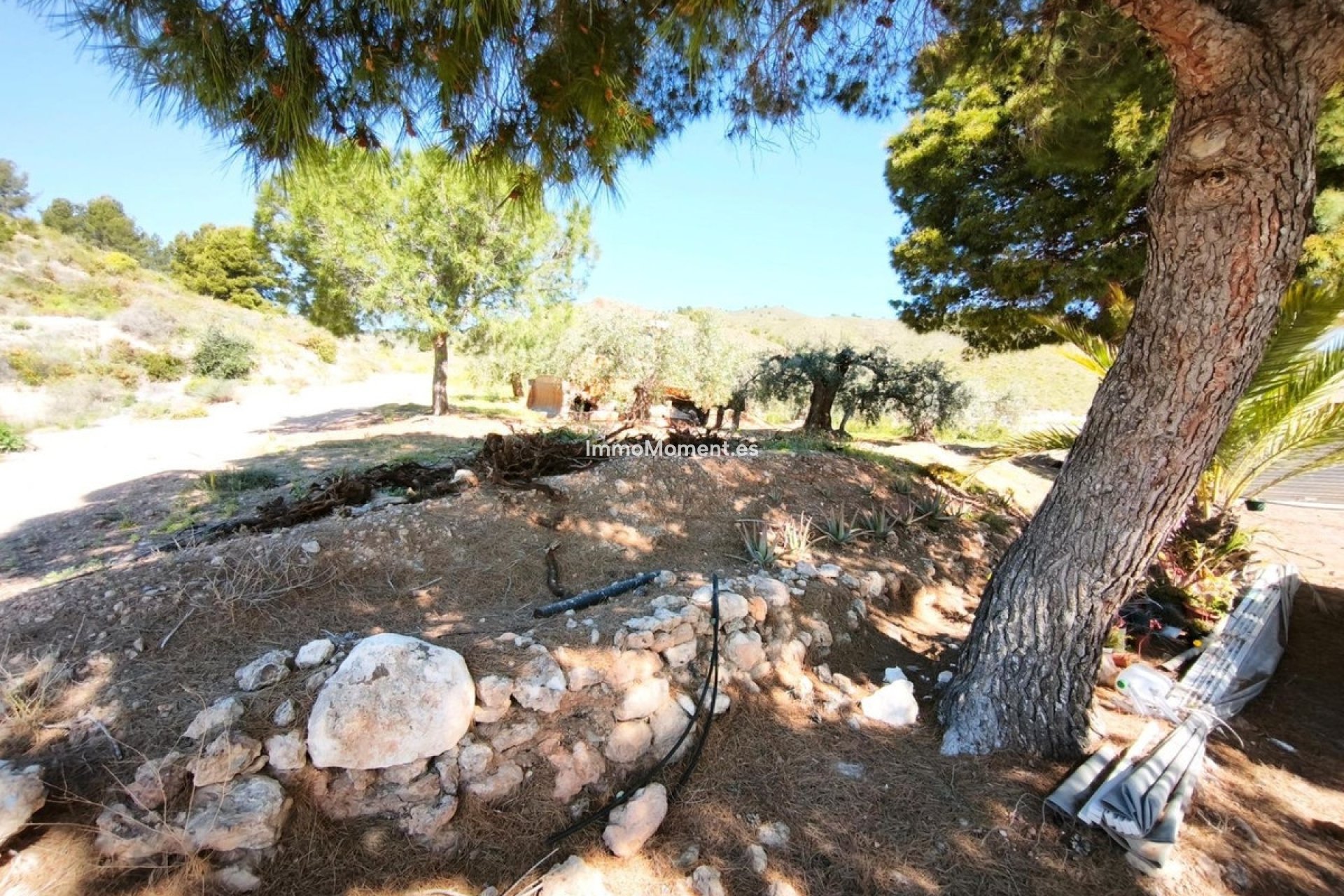 Wiederverkauf - Grundstück - Lorca - Lorca Centro