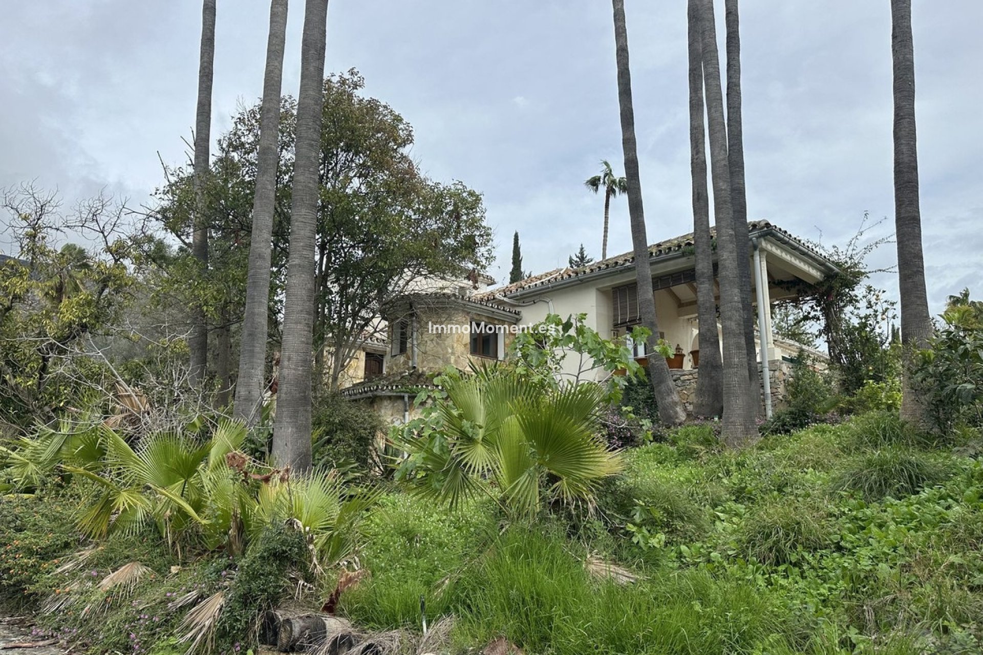 Wiederverkauf - Grundstück - Marbella - Nagüeles