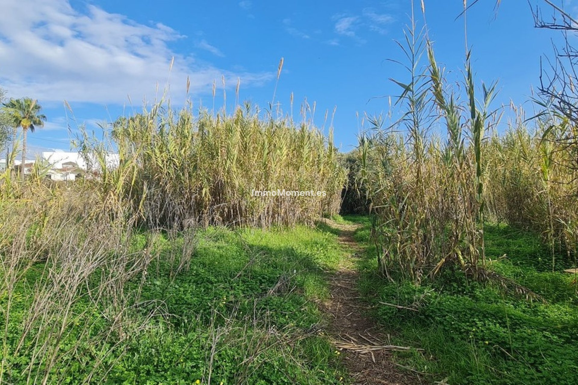Wiederverkauf - Grundstück - Mijas - Campo Mijas