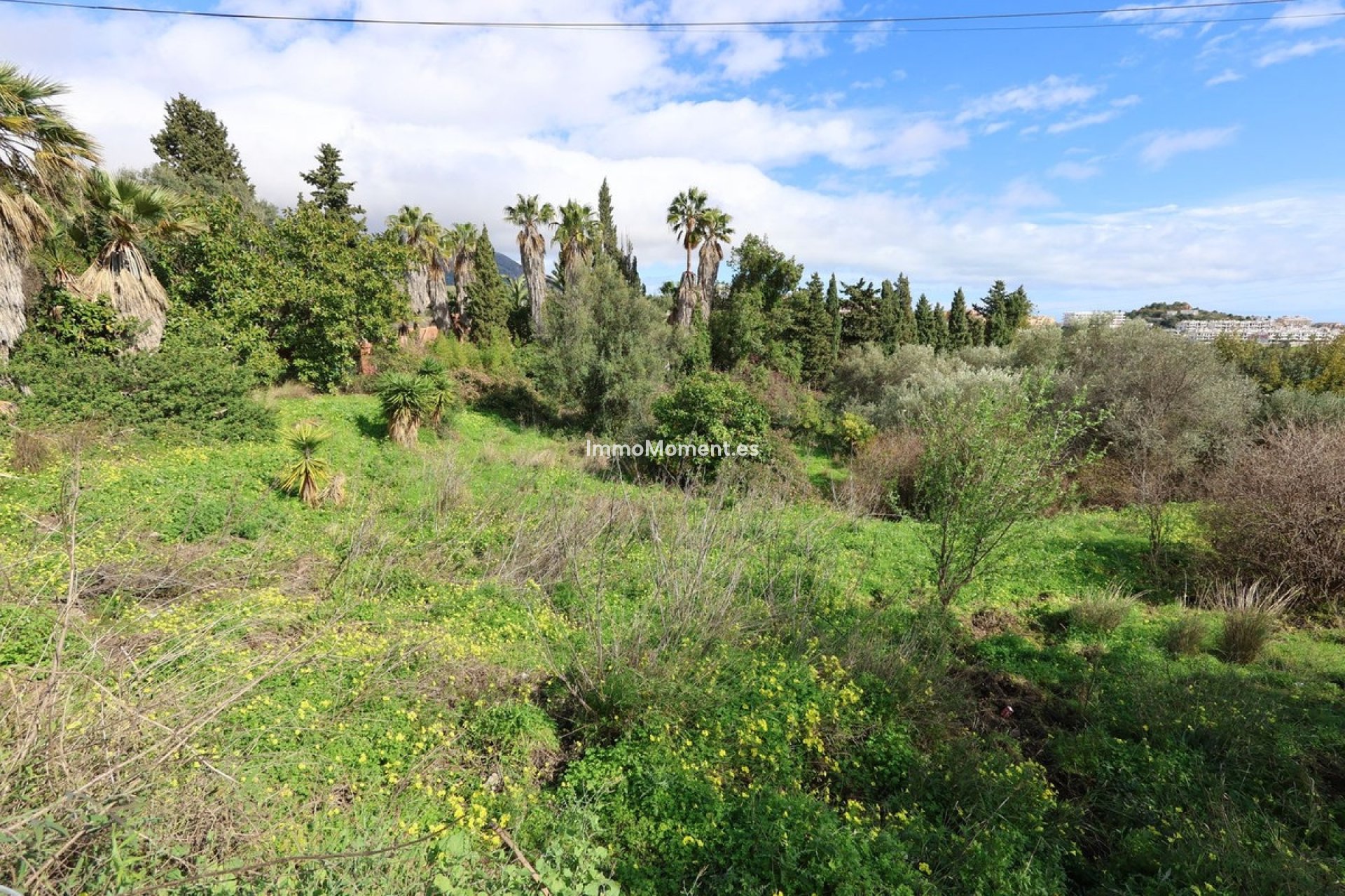 Wiederverkauf - Grundstück - Mijas - Mijas Centro