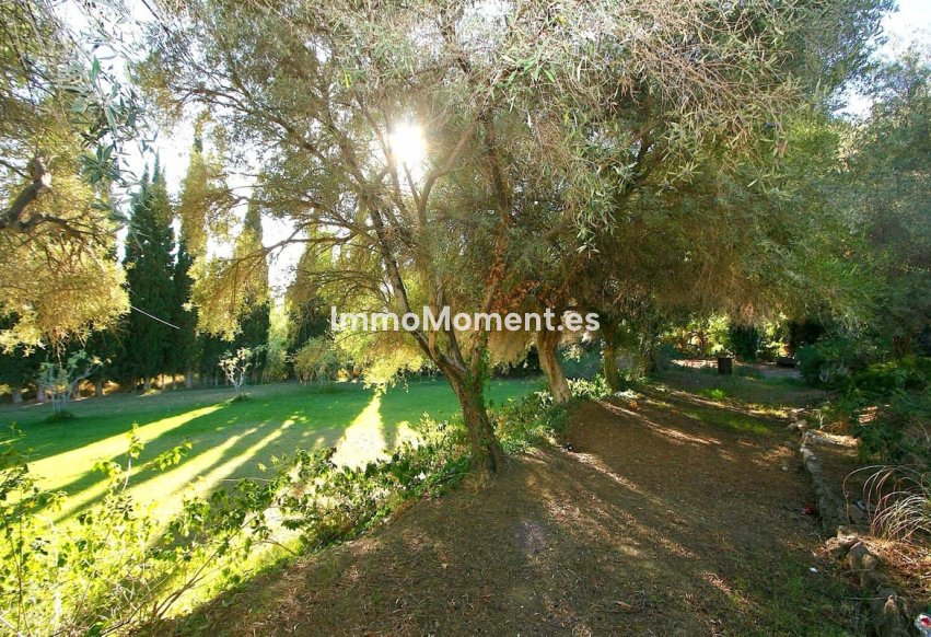 Wiederverkauf - Grundstück - Mijas - Mijas Centro