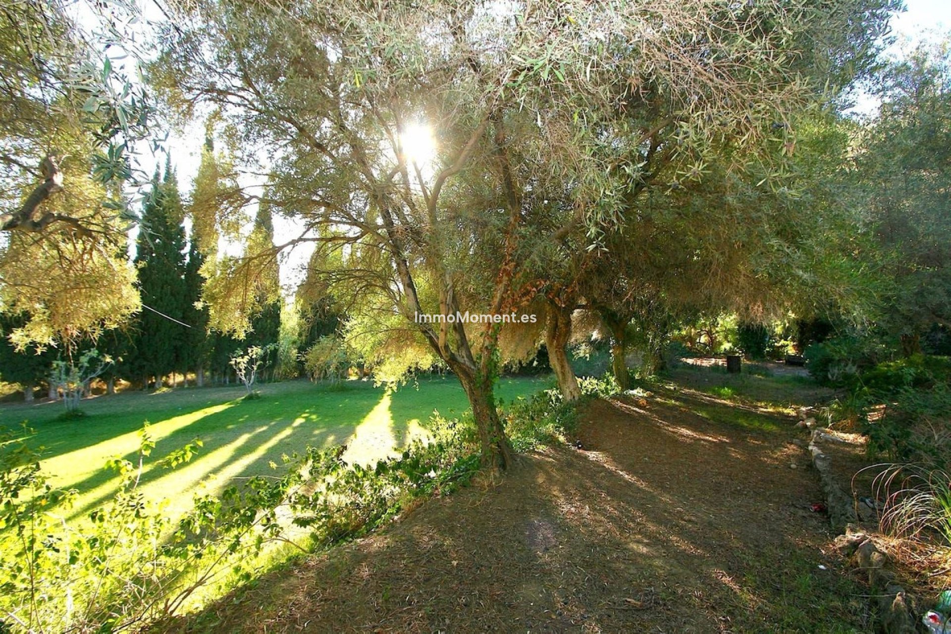 Wiederverkauf - Grundstück - Mijas - Mijas Centro