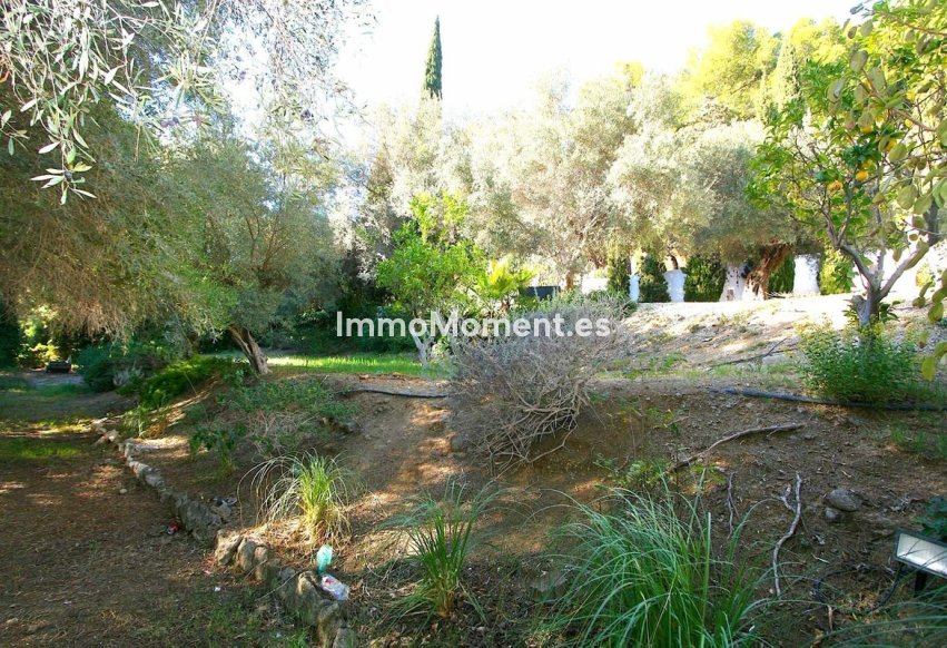 Wiederverkauf - Grundstück - Mijas - Mijas Centro
