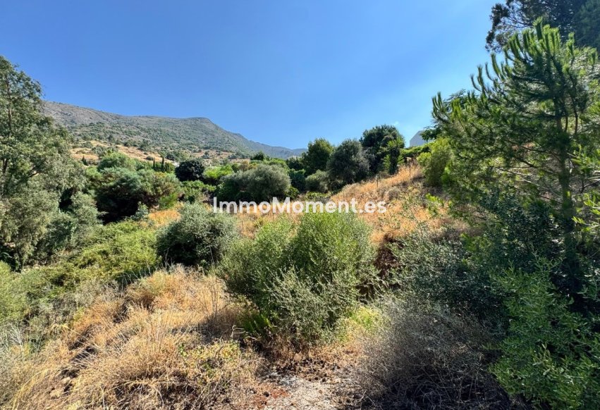 Wiederverkauf - Grundstück - Mijas - Valtocado