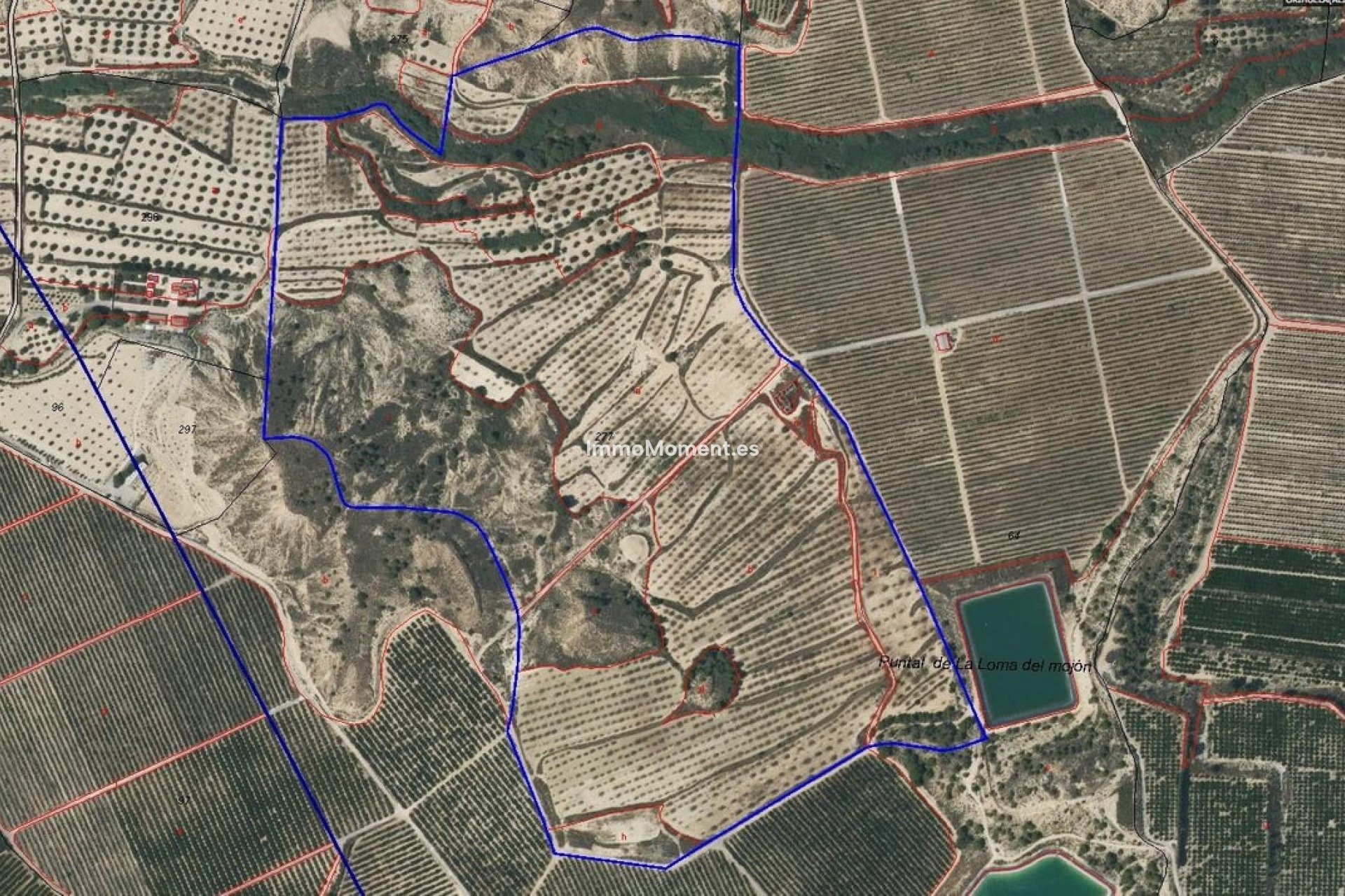 Wiederverkauf - Grundstück - Orihuela - Torremendo