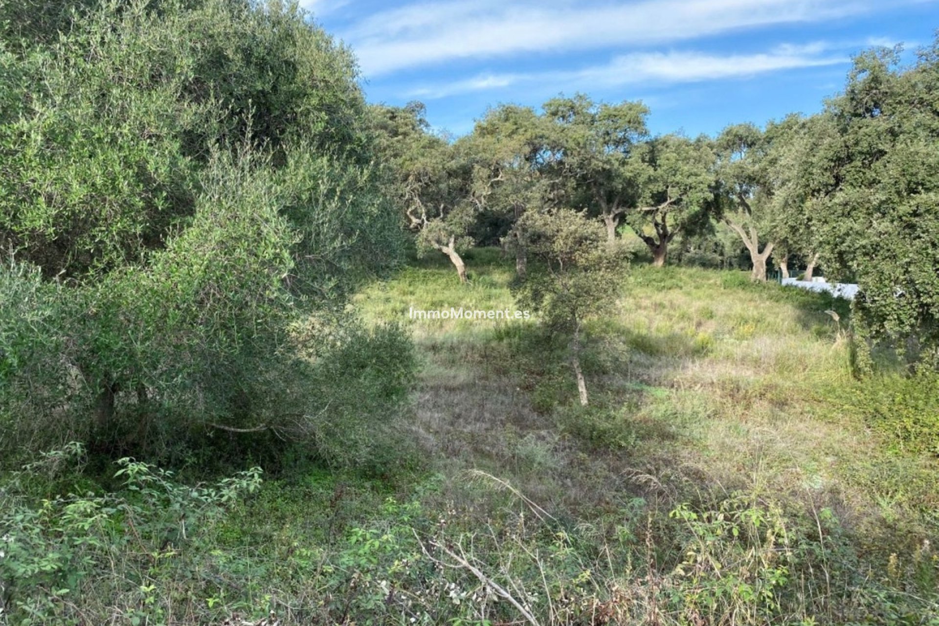 Wiederverkauf - Grundstück - Sotogrande - San Roque Club
