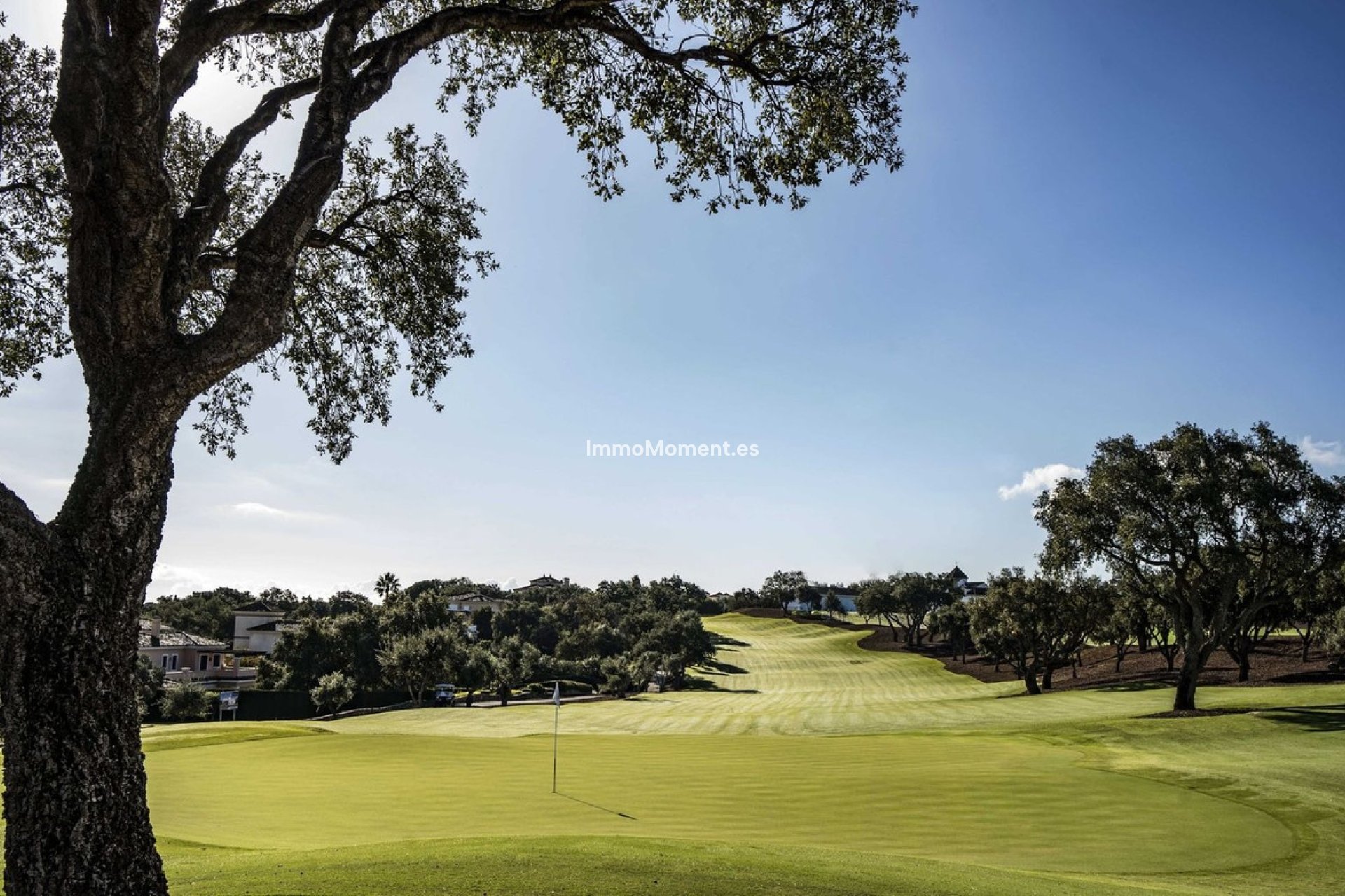 Wiederverkauf - Grundstück - Sotogrande - San Roque Club