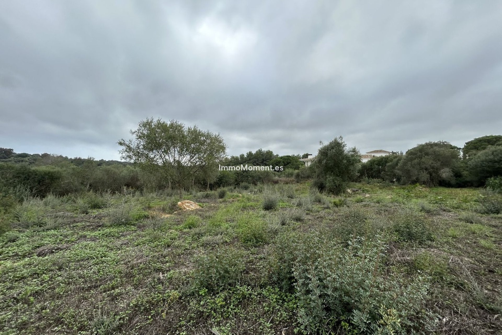 Wiederverkauf - Grundstück - Sotogrande - Sotogrande Alto