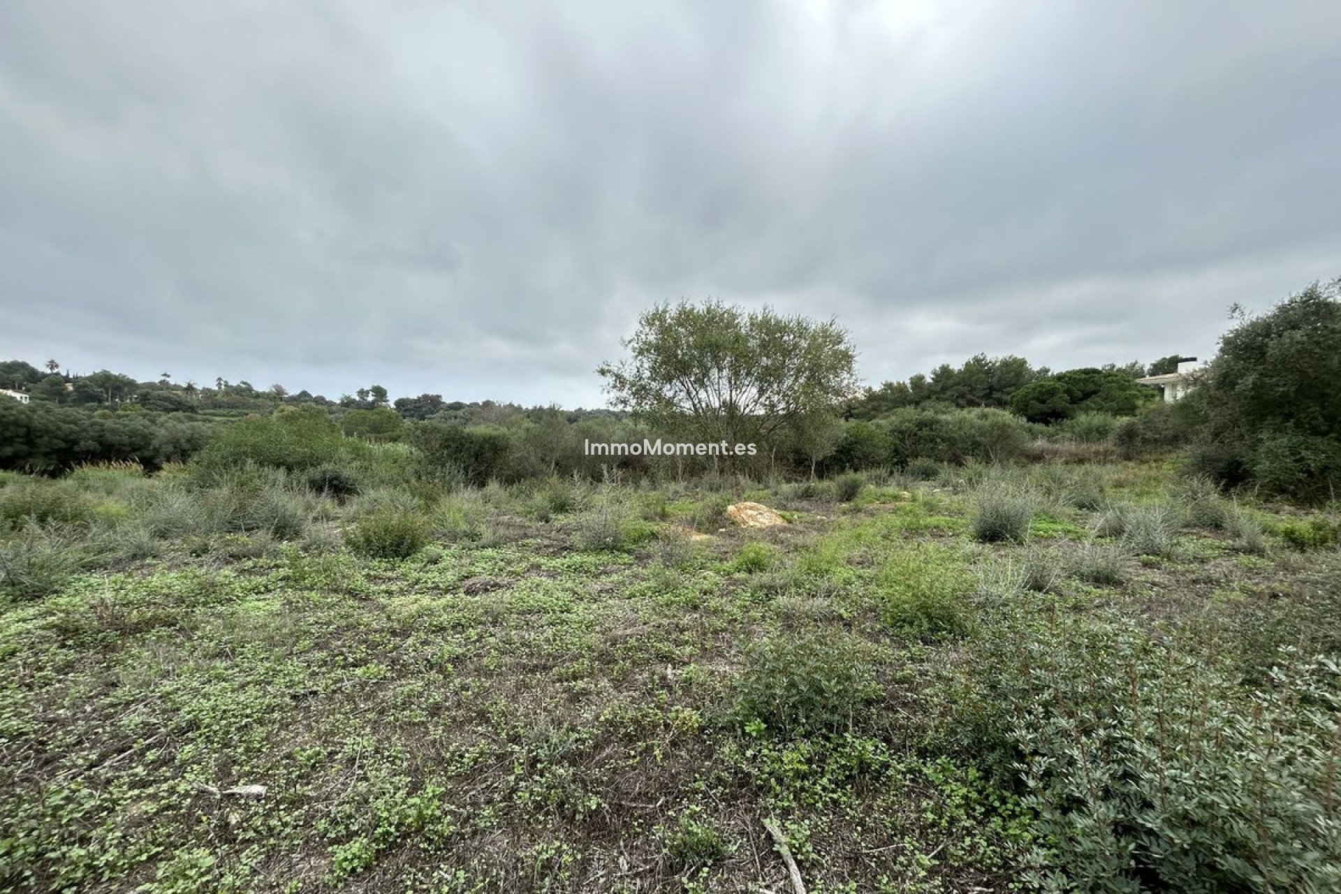 Wiederverkauf - Grundstück - Sotogrande - Sotogrande Alto