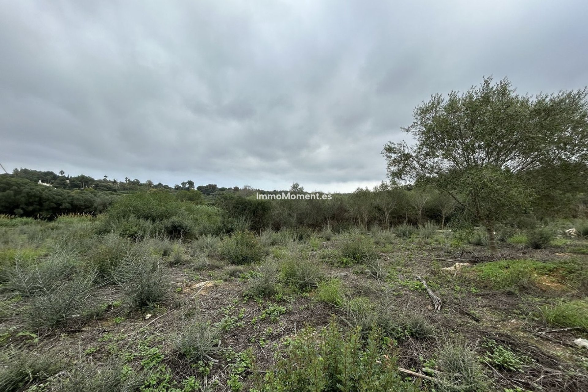 Wiederverkauf - Grundstück - Sotogrande - Sotogrande Alto