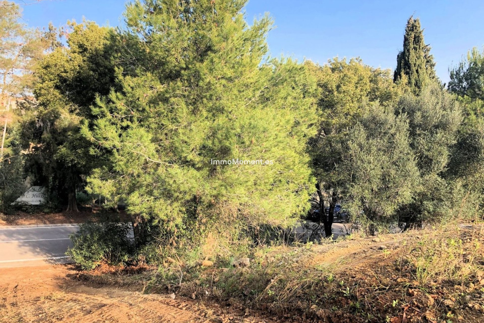 Wiederverkauf - Grundstück - Sotogrande - Sotogrande Alto