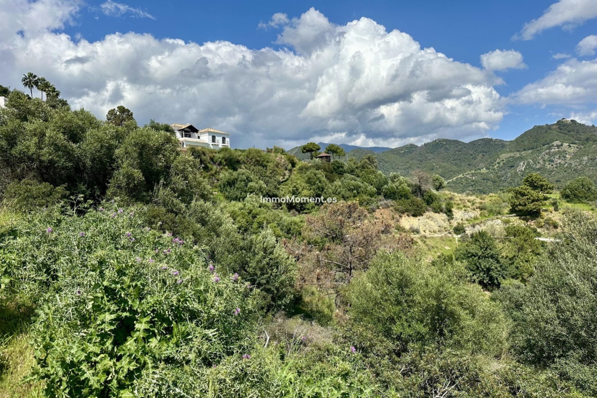 Wiederverkauf - Land - Benahavís - Benahavís Centro