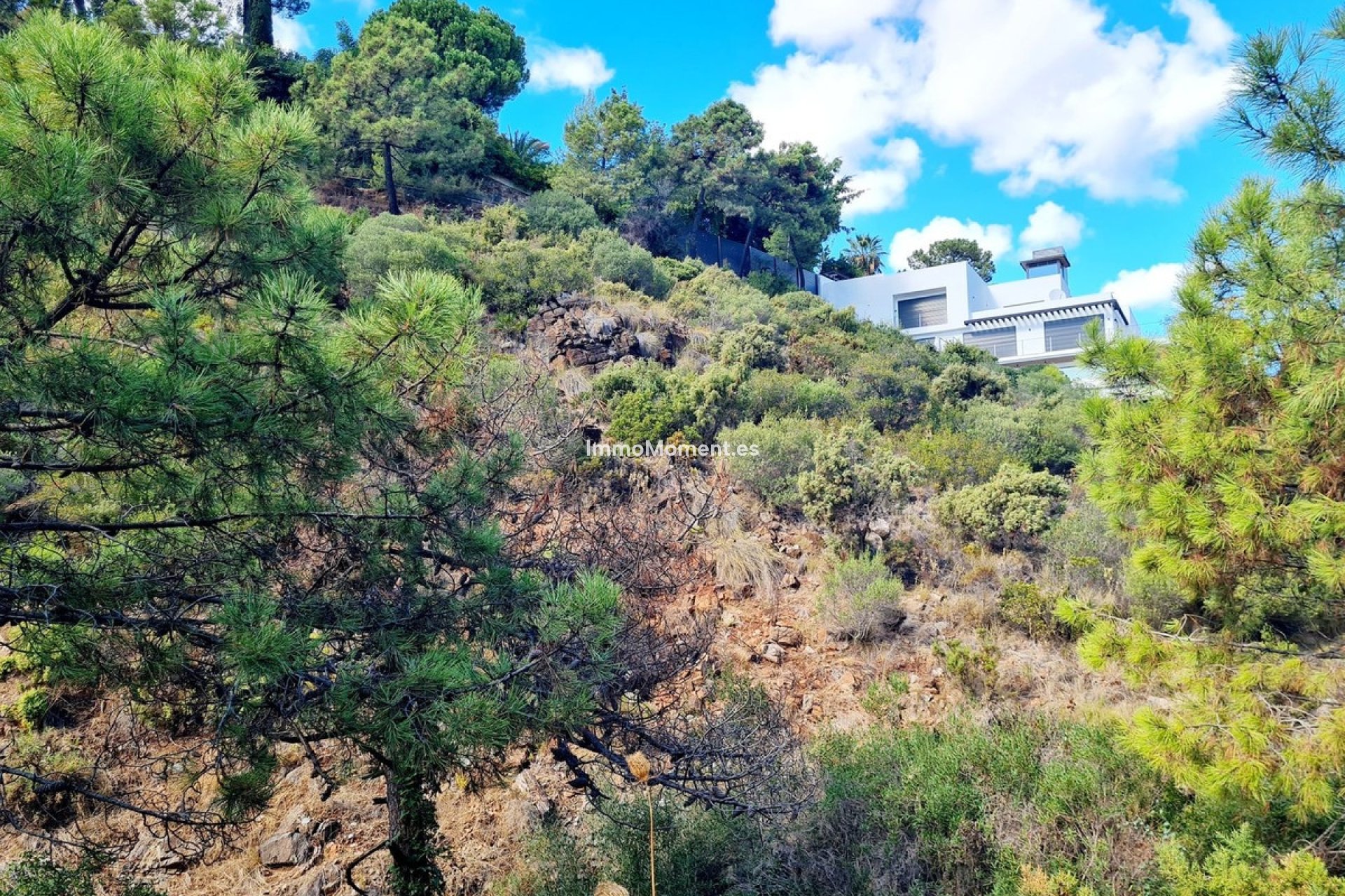 Wiederverkauf - Land - Benahavís - El Madroñal