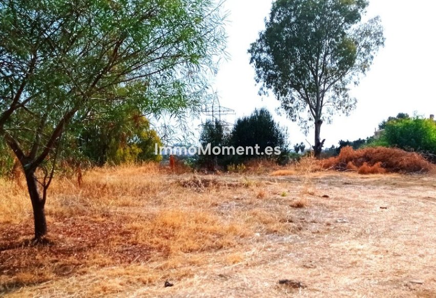 Wiederverkauf - Land - Benahavís - La Quinta