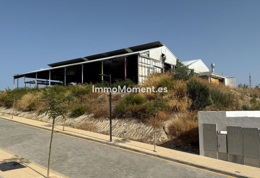 Wiederverkauf - Land - Estepona  - Cancelada