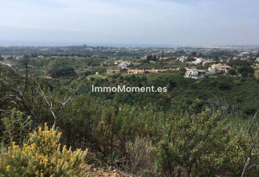 Wiederverkauf - Land - Estepona  - Estepona Centro