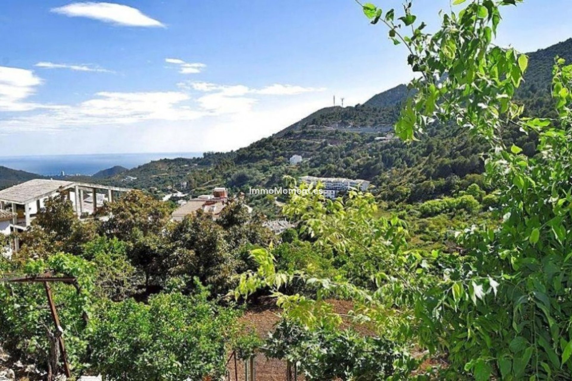 Wiederverkauf - Land -   Inländisch - Ojén