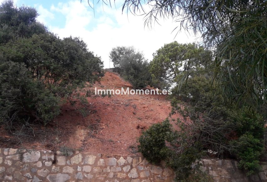 Wiederverkauf - Land - Marbella - Las Chapas