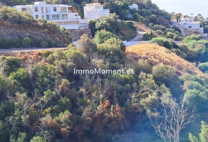 Wiederverkauf - Land - Marbella - Marbella Centro