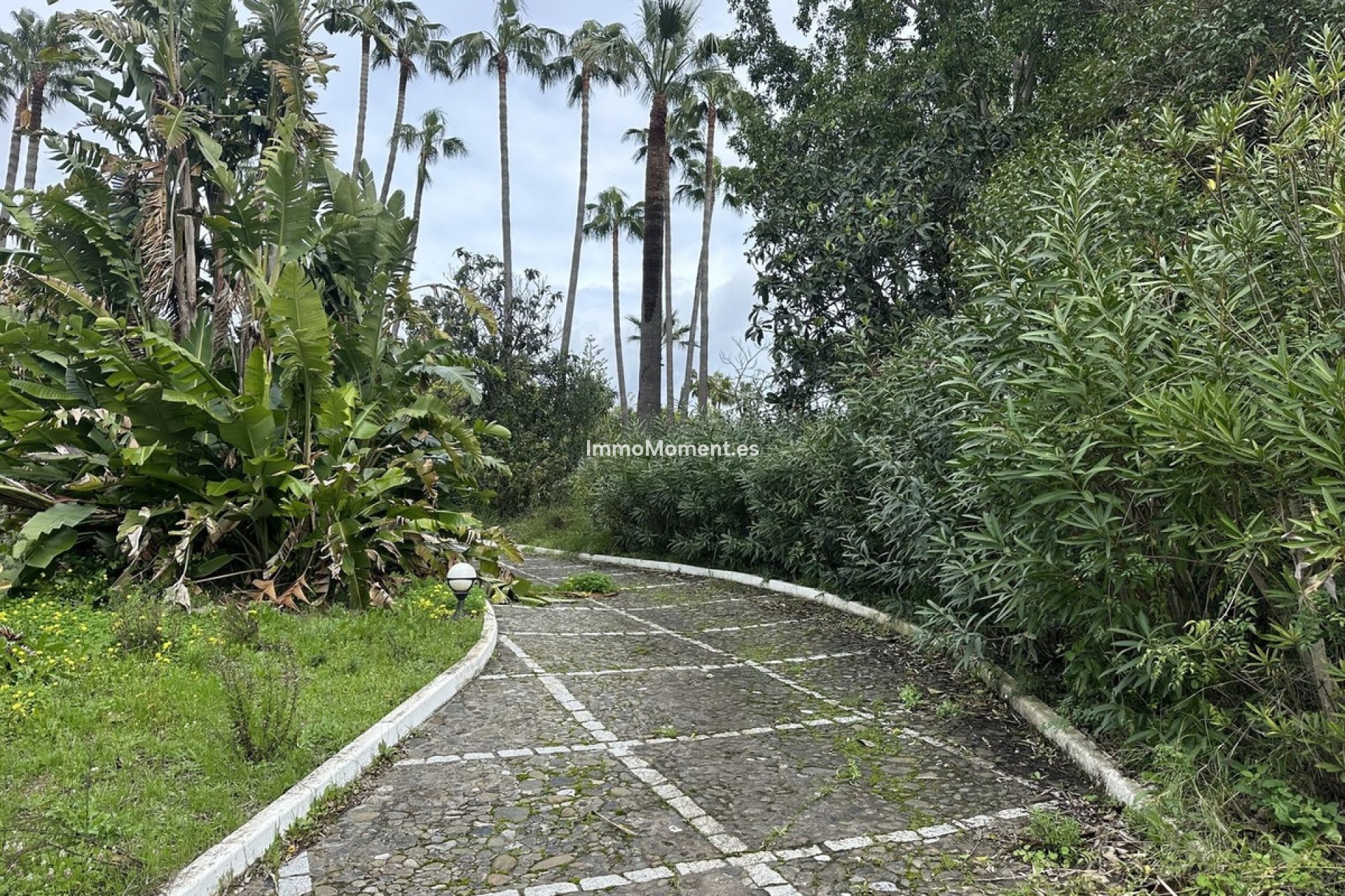 Wiederverkauf - Land - Marbella - Nagüeles