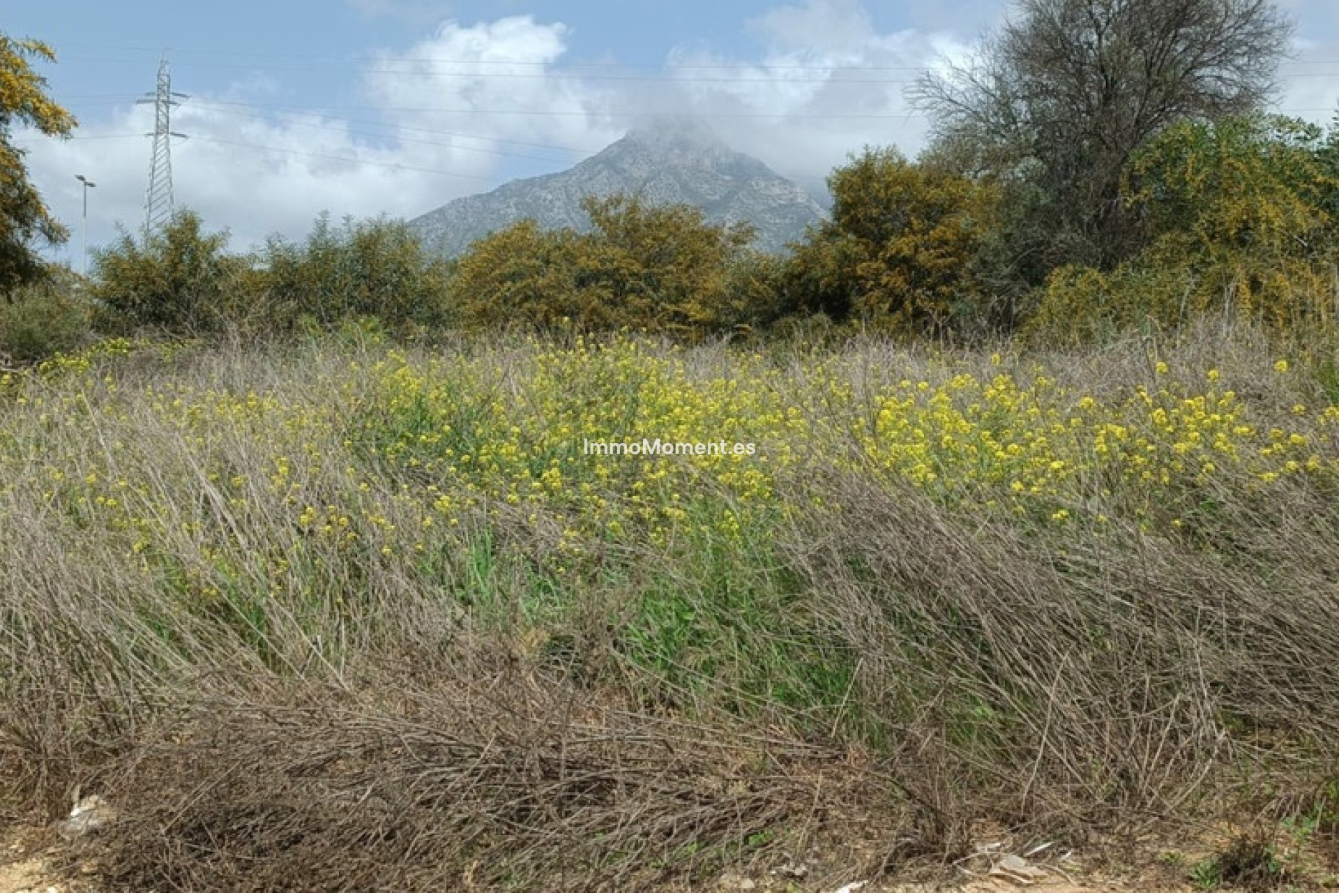 Wiederverkauf - Land - Marbella - The Golden Mile
