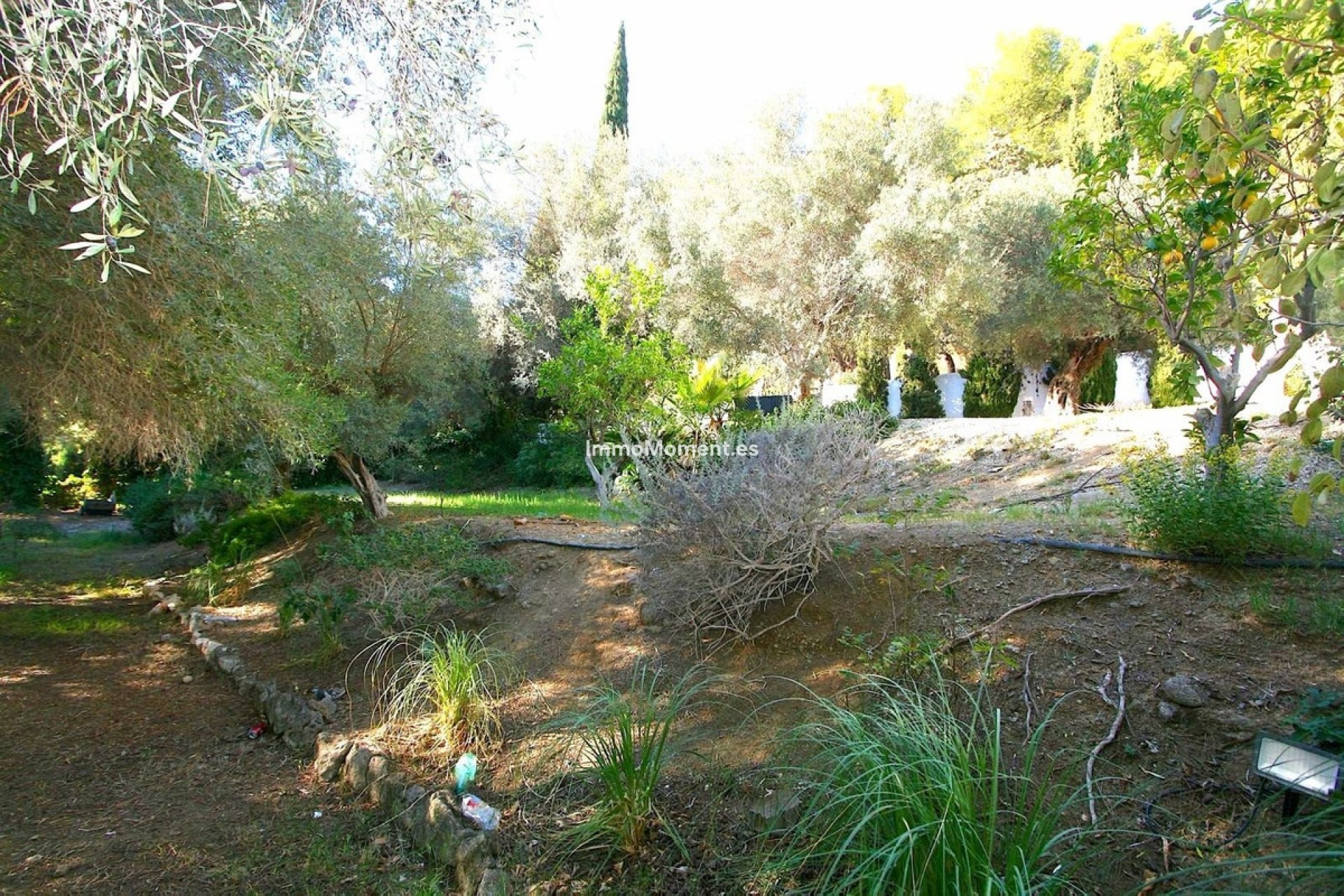 Wiederverkauf - Land - Mijas - Mijas Centro