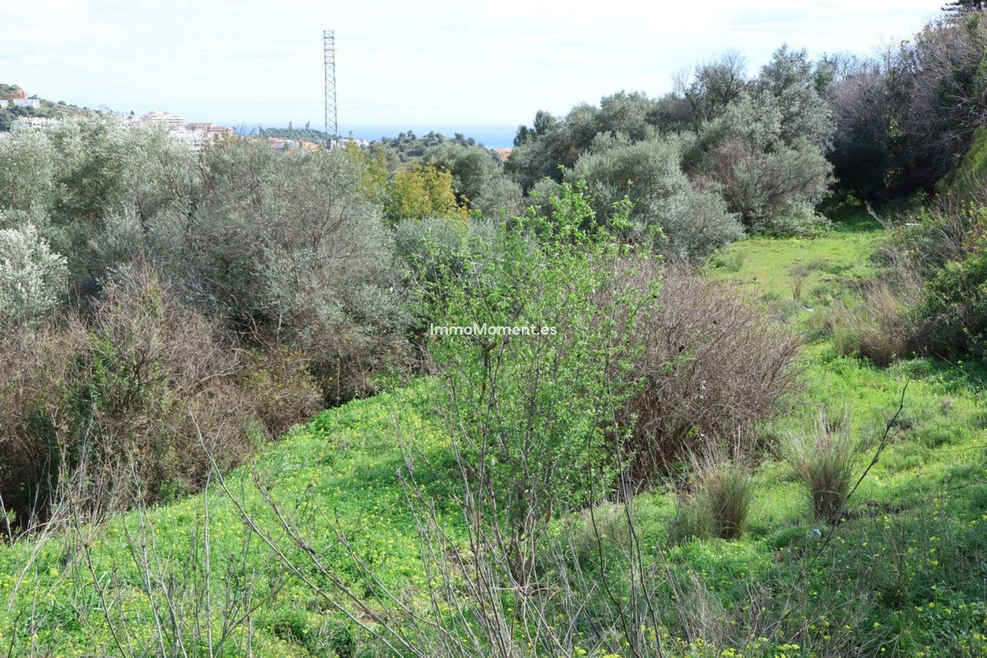 Wiederverkauf - Land - Mijas - Mijas Centro