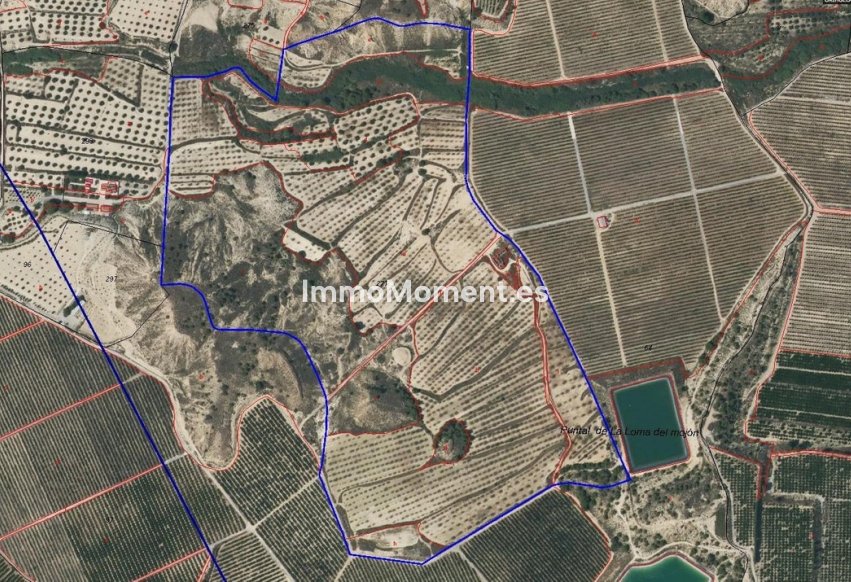 Wiederverkauf - Land - Orihuela - Torremendo