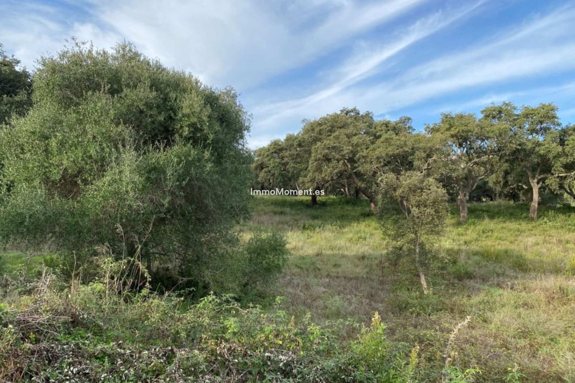 Wiederverkauf - Land - Sotogrande - San Roque Club