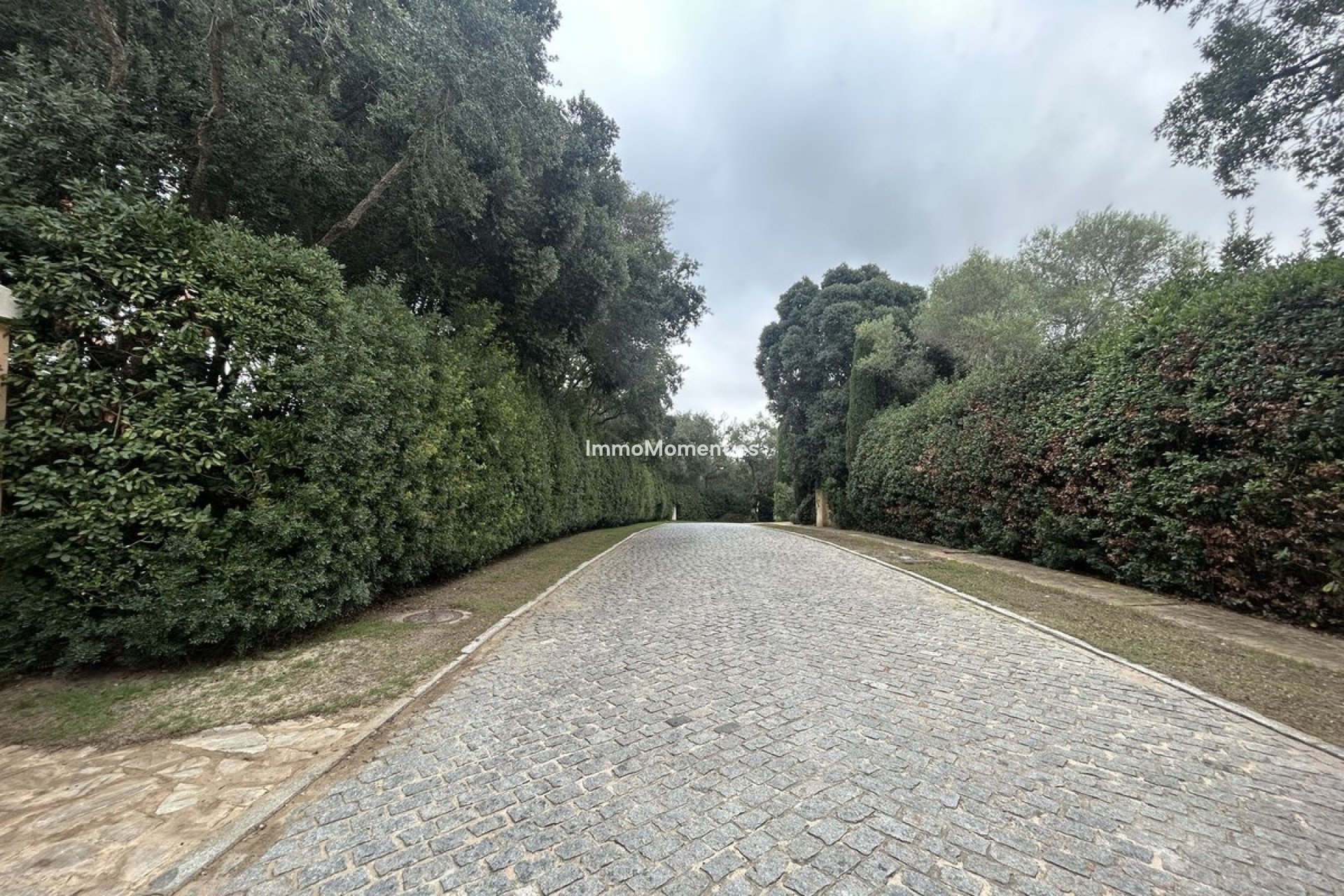 Wiederverkauf - Land - Sotogrande - Sotogrande Alto