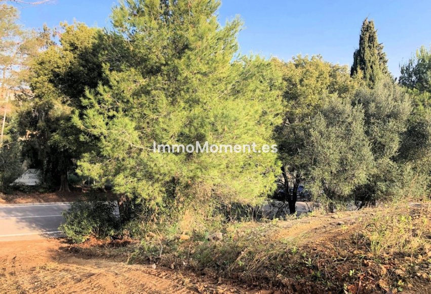 Wiederverkauf - Land - Sotogrande - Sotogrande Alto