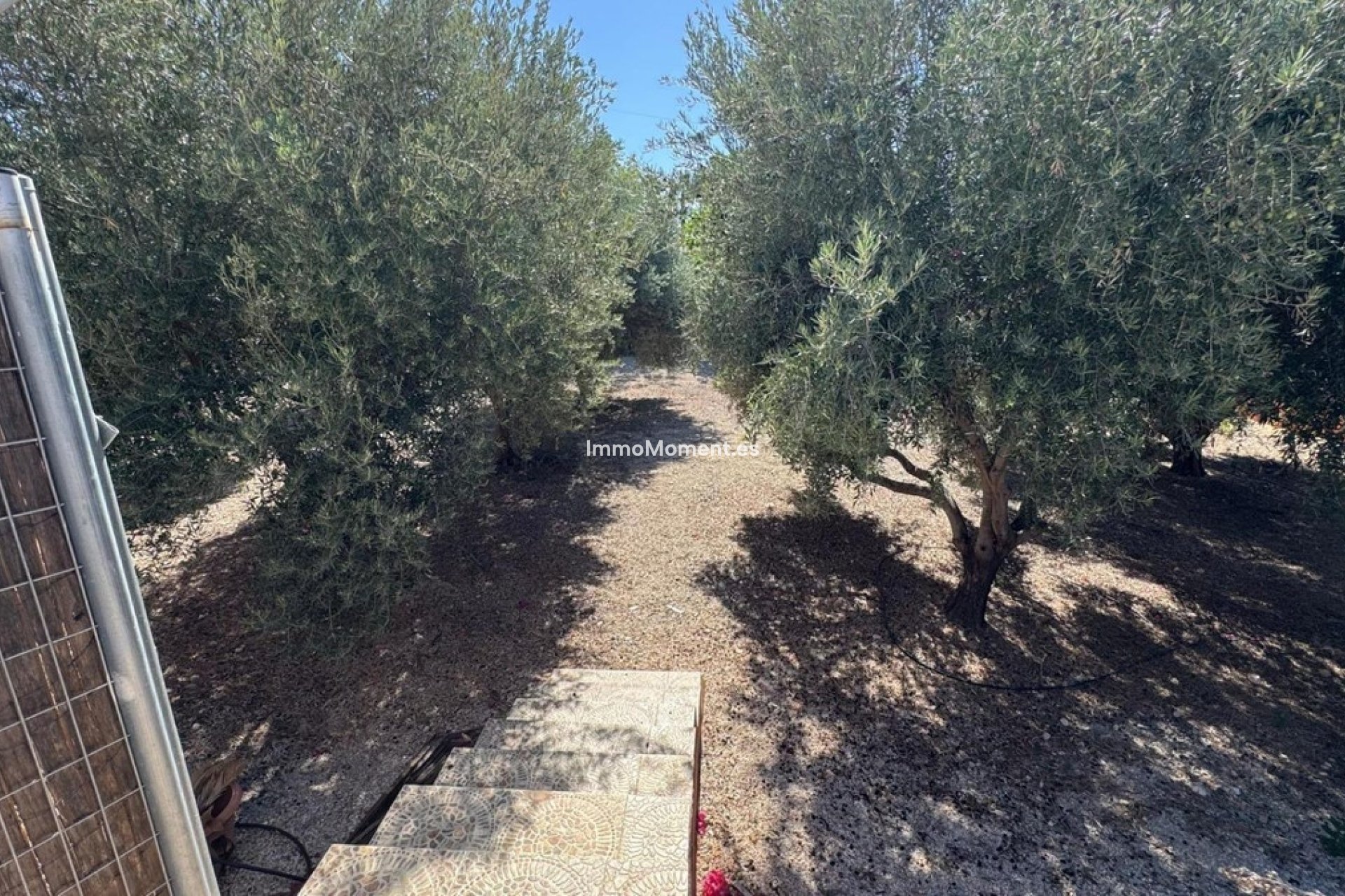 Wiederverkauf - Landhaus - Albatera - Albatera Centro