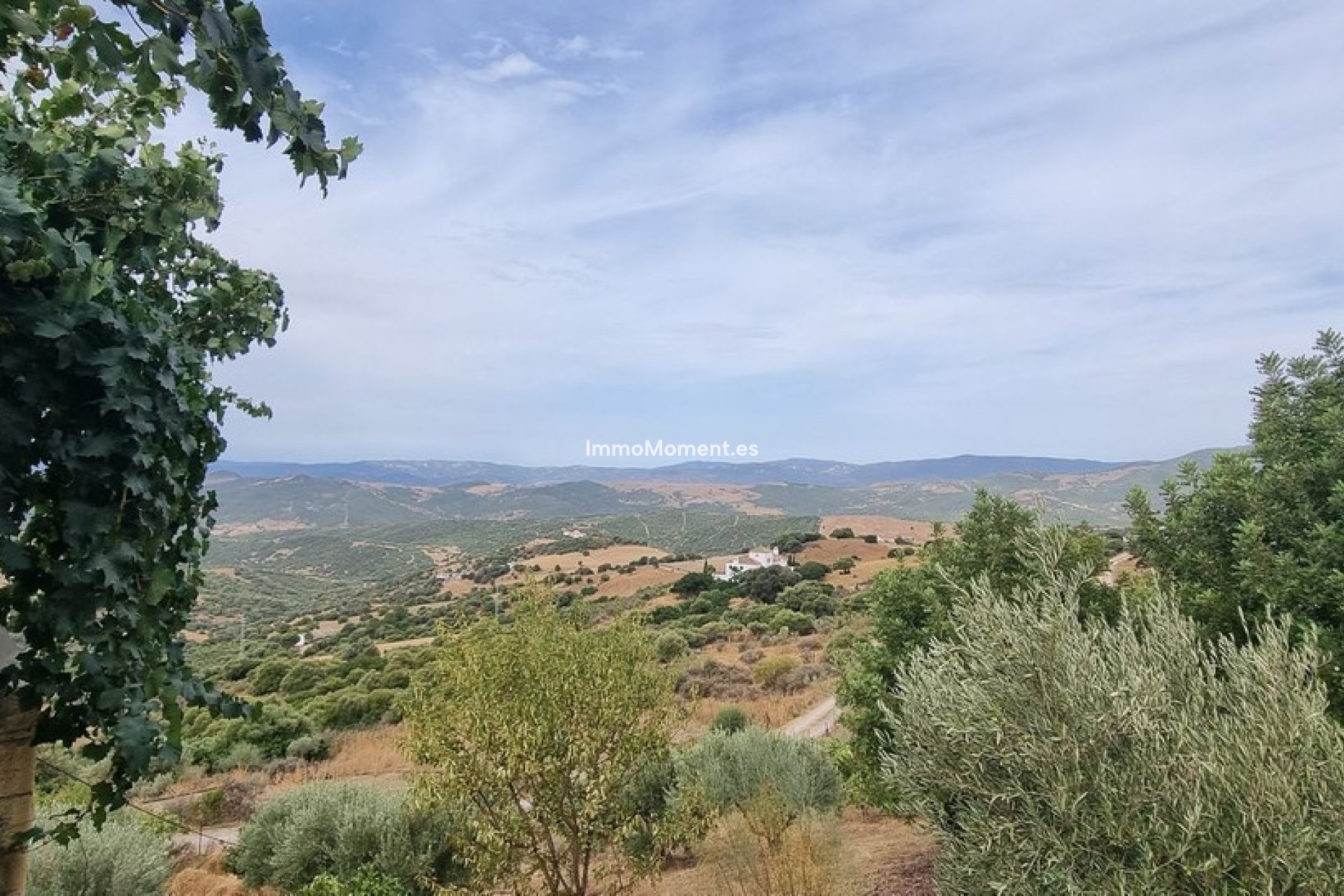 Wiederverkauf - Landhaus - Casares - Casares Centro