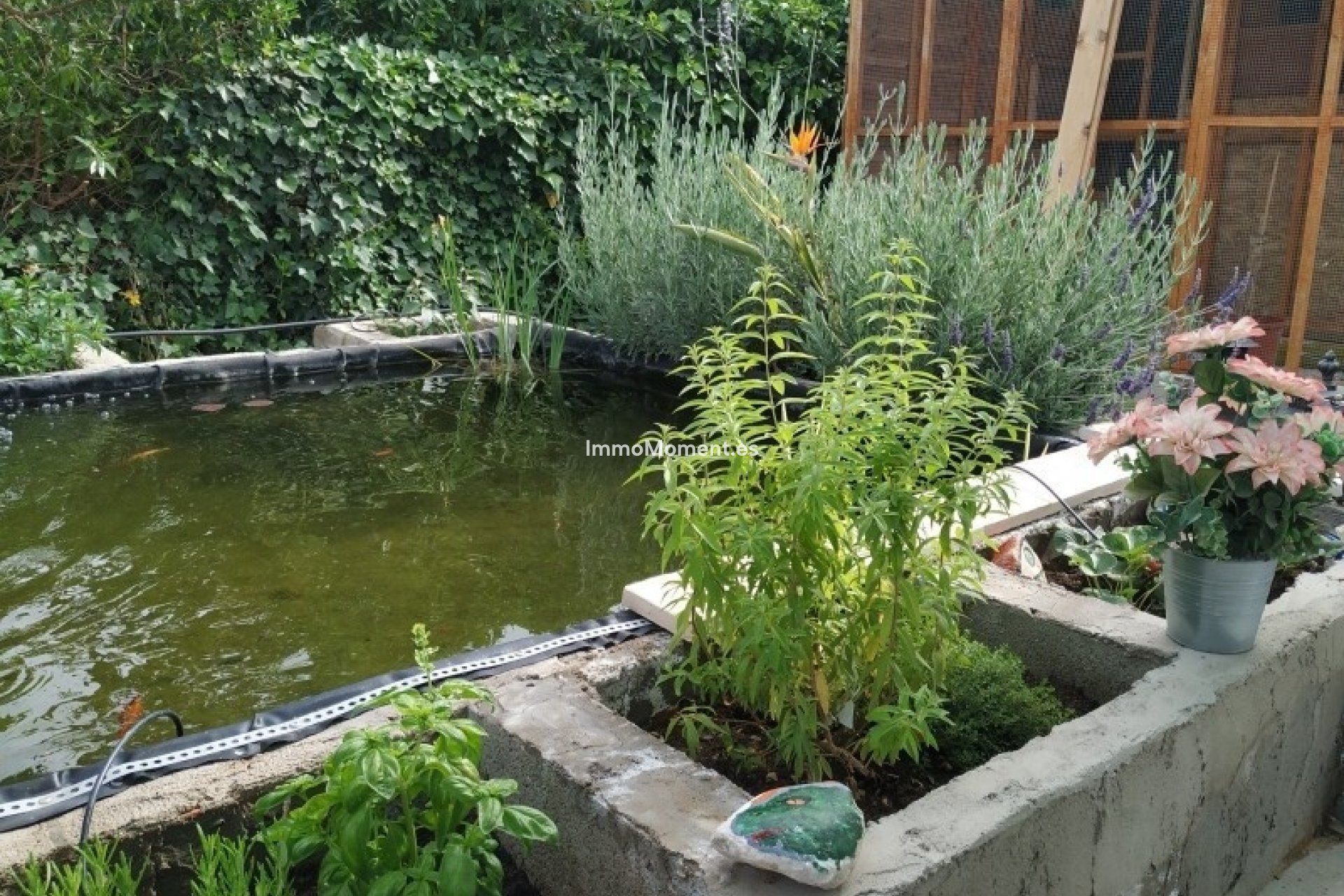 Wiederverkauf - Landhaus - Crevillente - Crevillente - Crevillent Centro