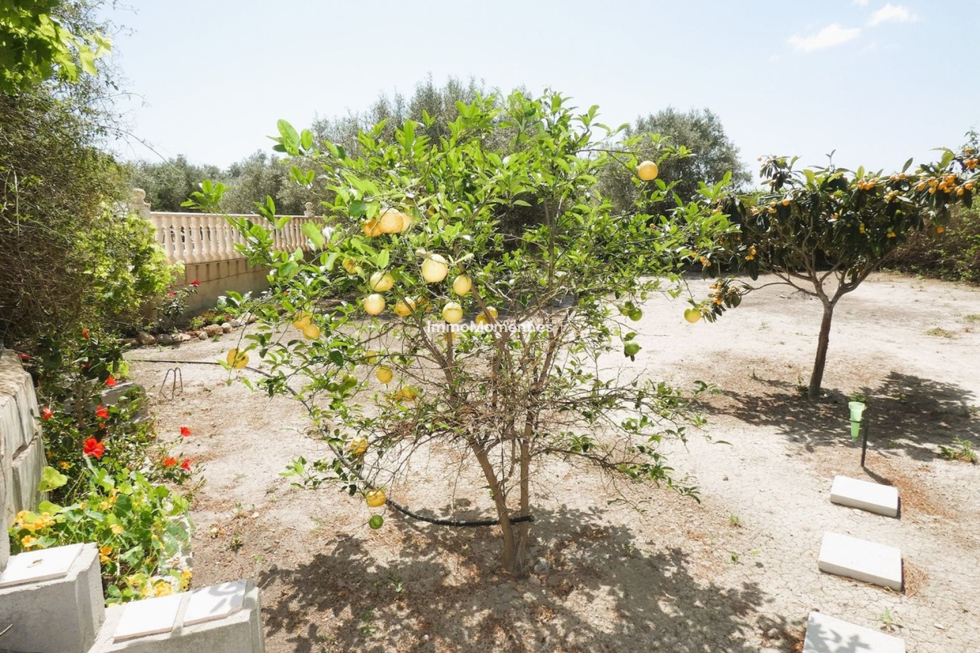 Wiederverkauf - Landhaus - Dolores - Dolores Centro