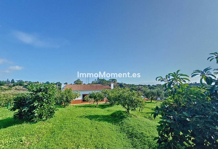 Wiederverkauf - Landhaus - Estepona  - El Padron