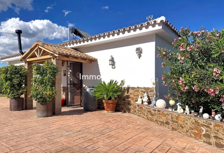 Wiederverkauf - Landhaus - Estepona  - Estepona Centro