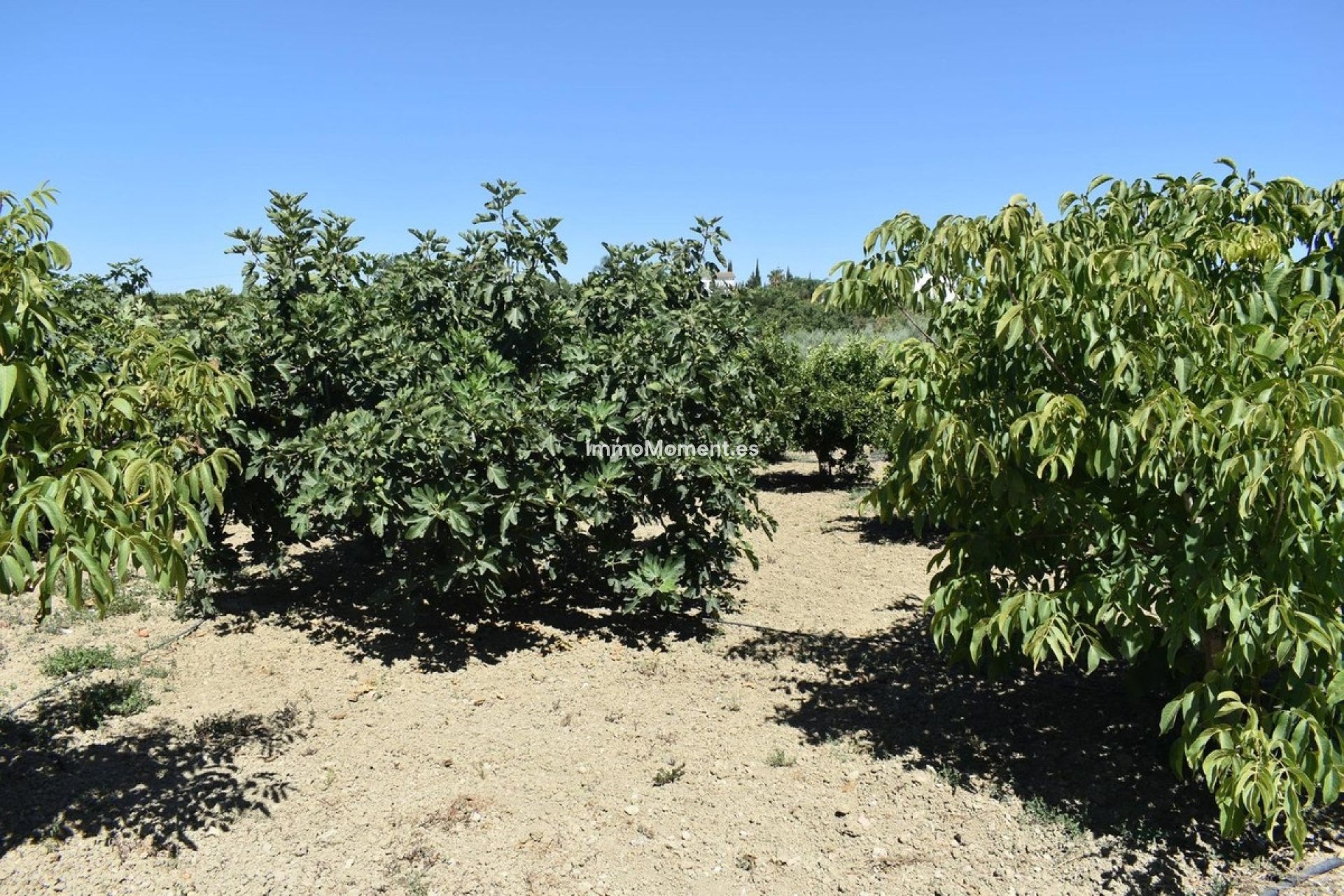 Wiederverkauf - Landhaus -   Inländisch - Alhaurín el Grande Centro
