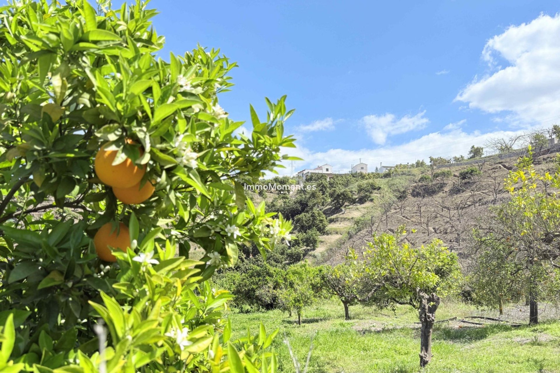 Wiederverkauf - Landhaus -   Inländisch - Coín