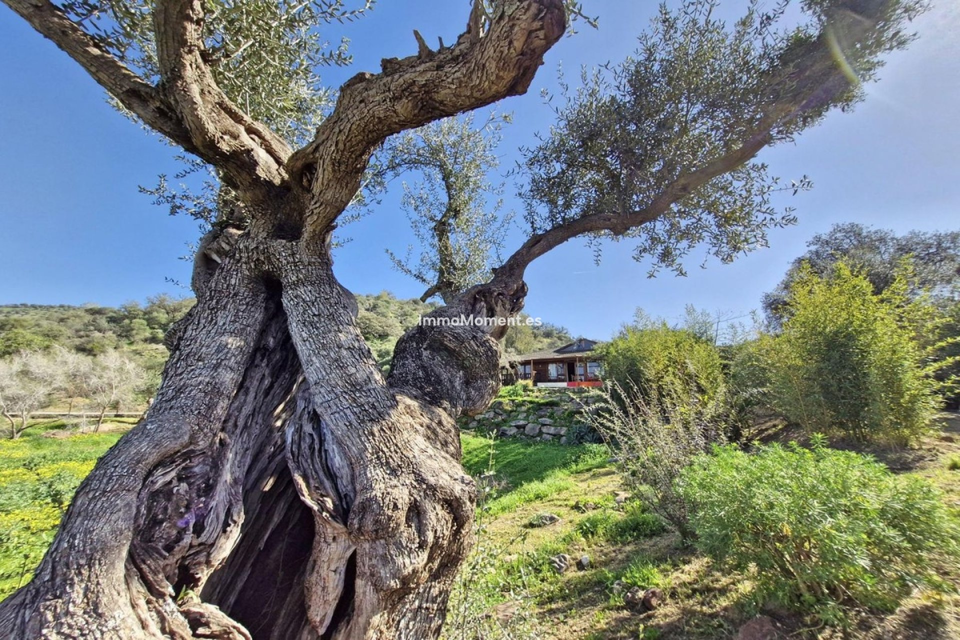 Wiederverkauf - Landhaus -   Inländisch - Coín