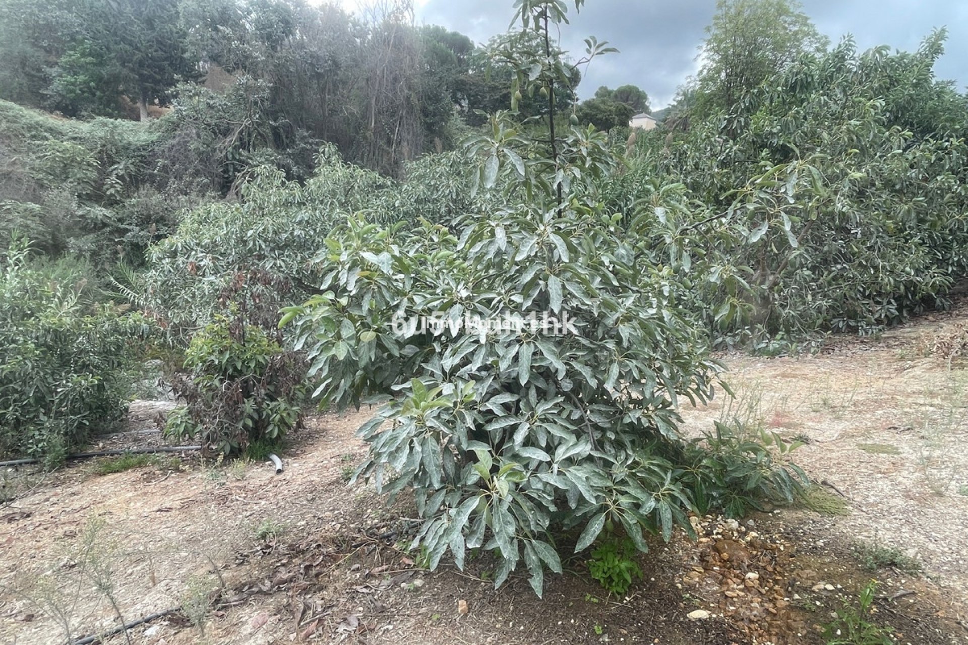 Wiederverkauf - Landhaus -   Inländisch - Coín