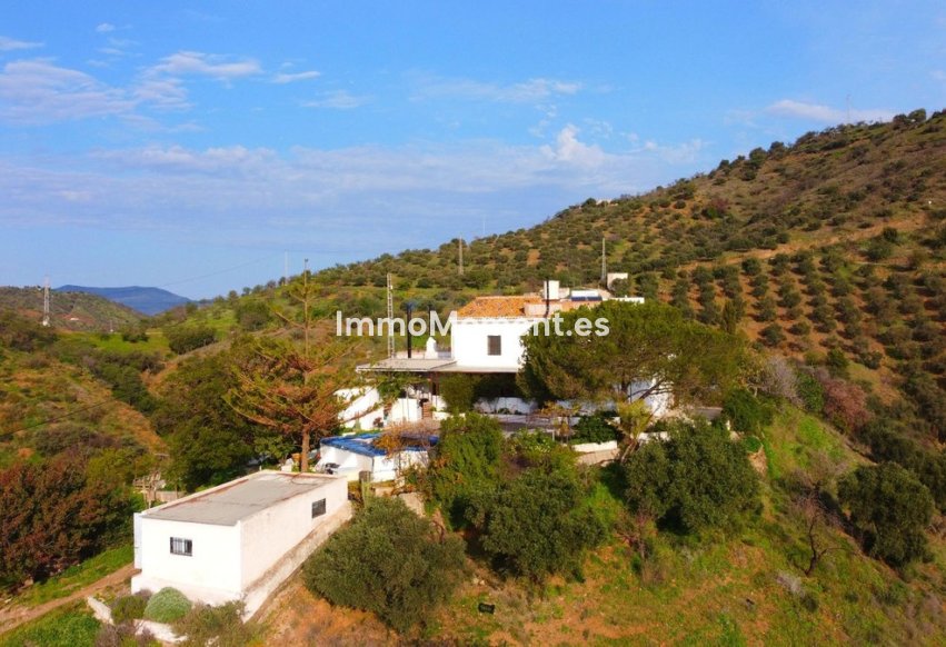 Wiederverkauf - Landhaus -   Inländisch - Pizarra