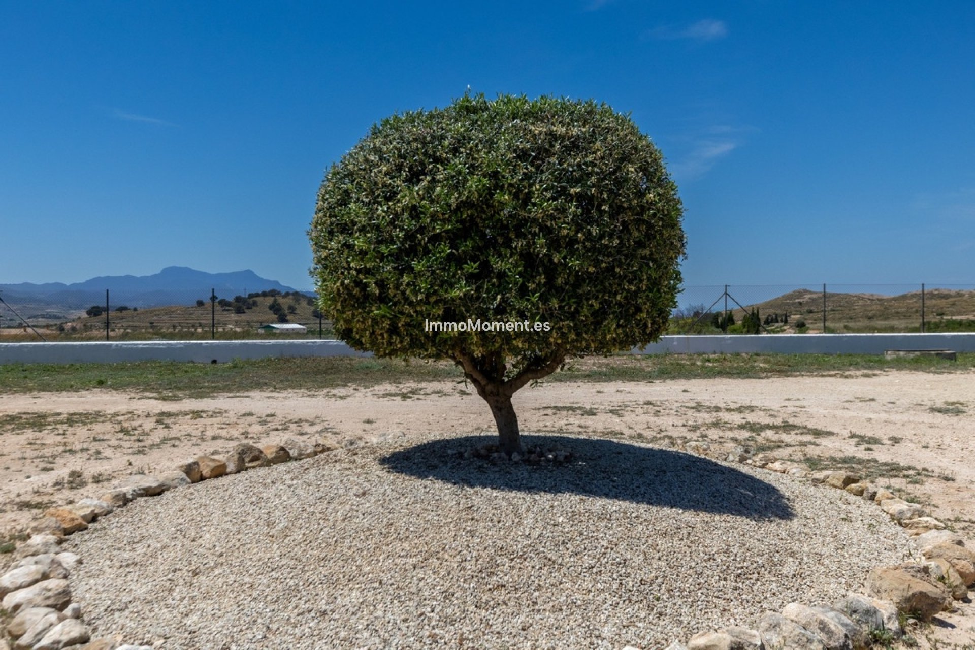 Wiederverkauf - Landhaus - Jumilla - Torre Del Rico