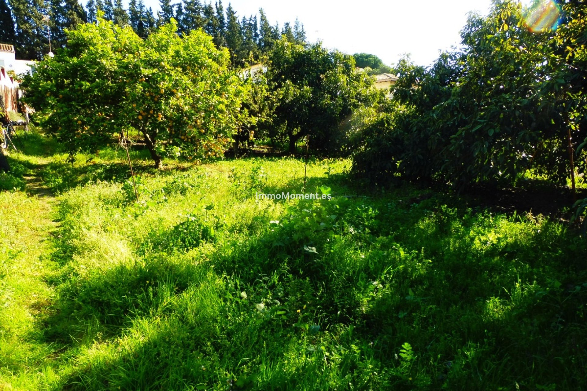 Wiederverkauf - Landhaus - Marbella - Marbella Centro