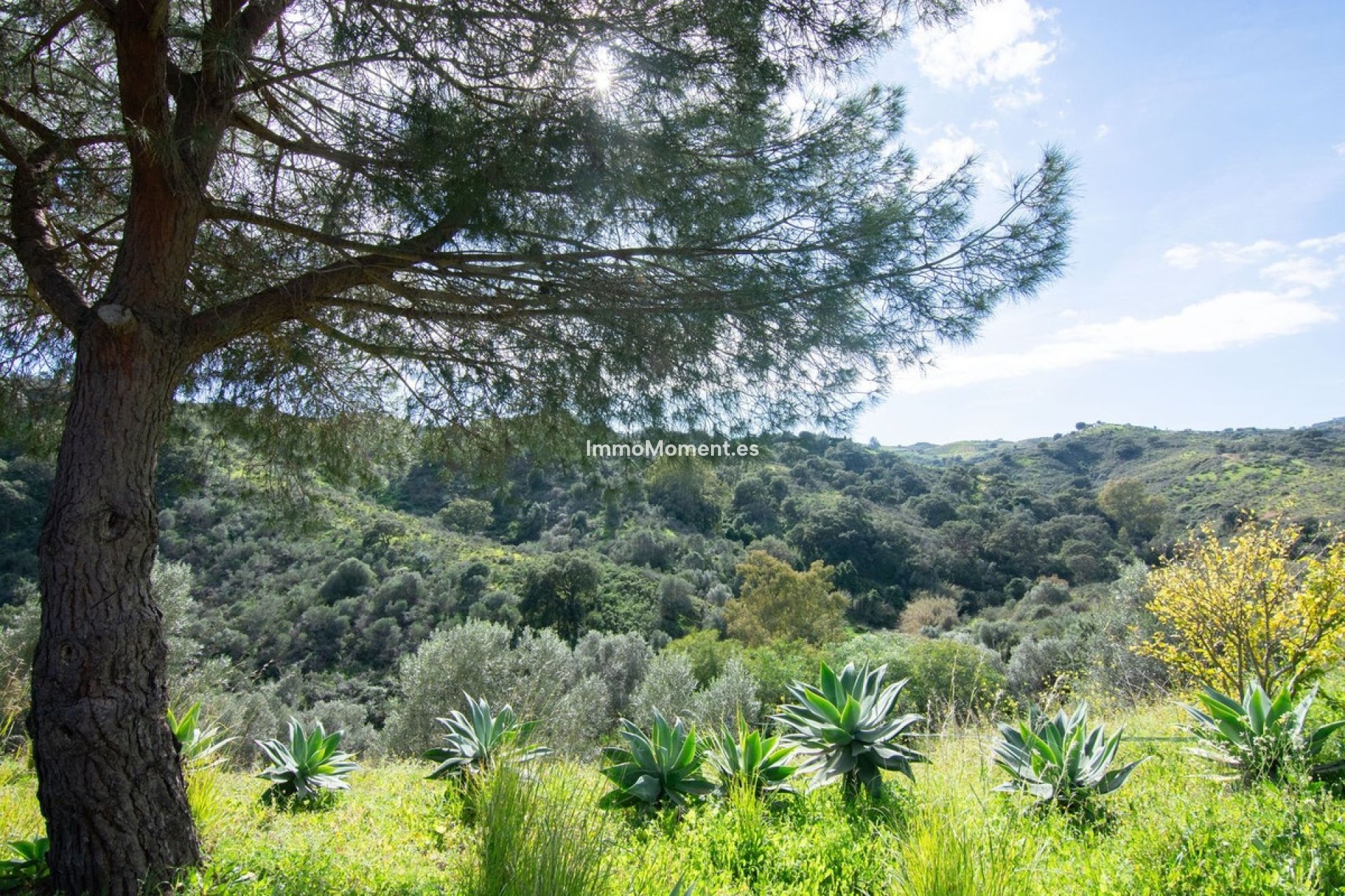 Wiederverkauf - Landhaus - Mijas - La Cala Golf