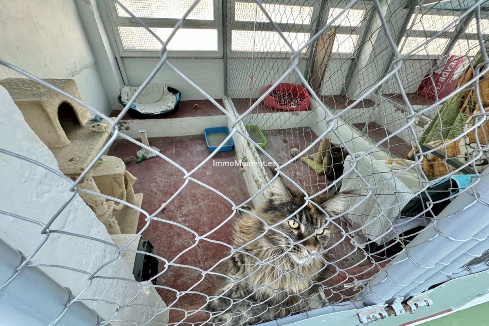 Wiederverkauf - Landhaus - Mijas - Mijas Centro