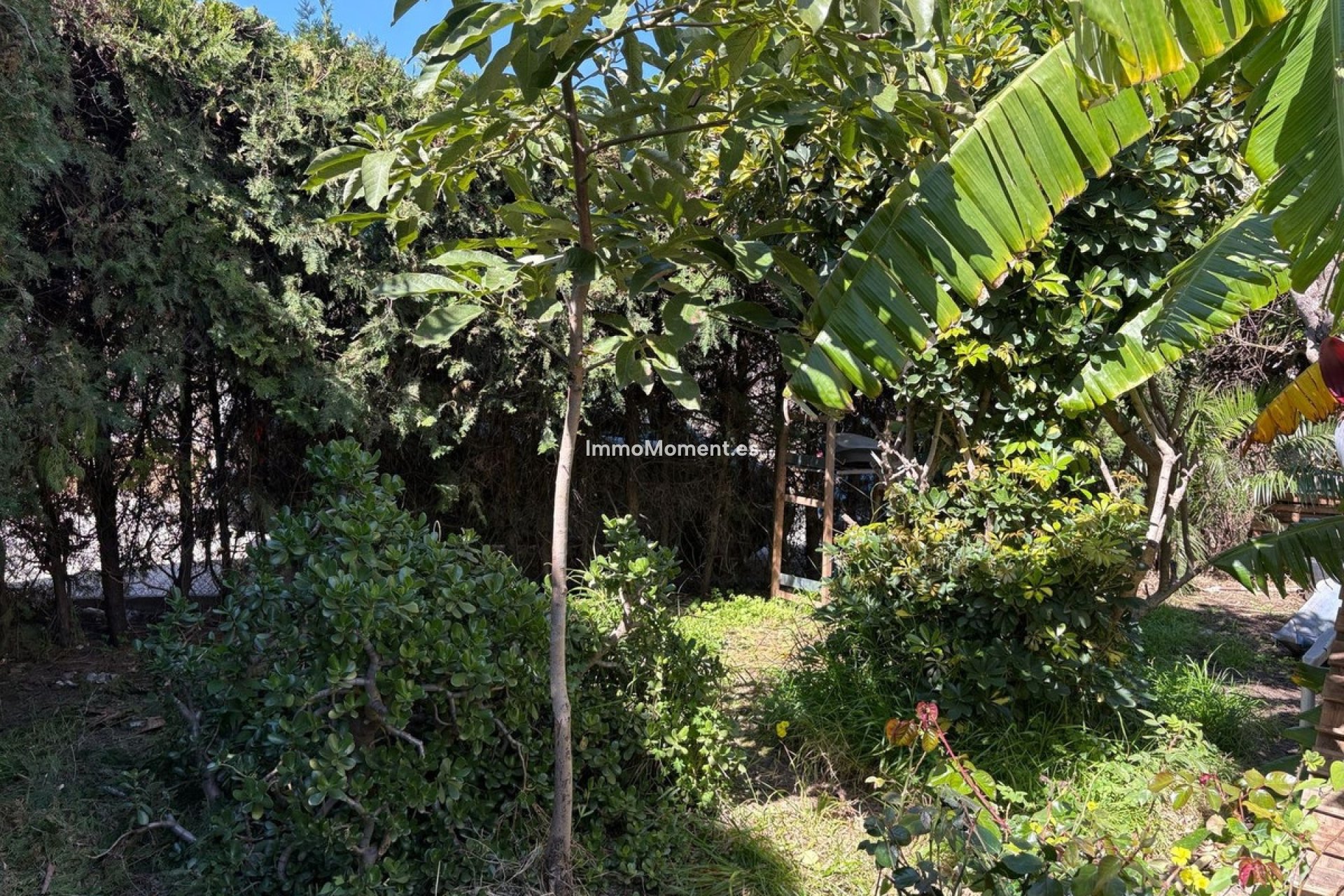 Wiederverkauf - Reihenhaus - Estepona  - Estepona Centro