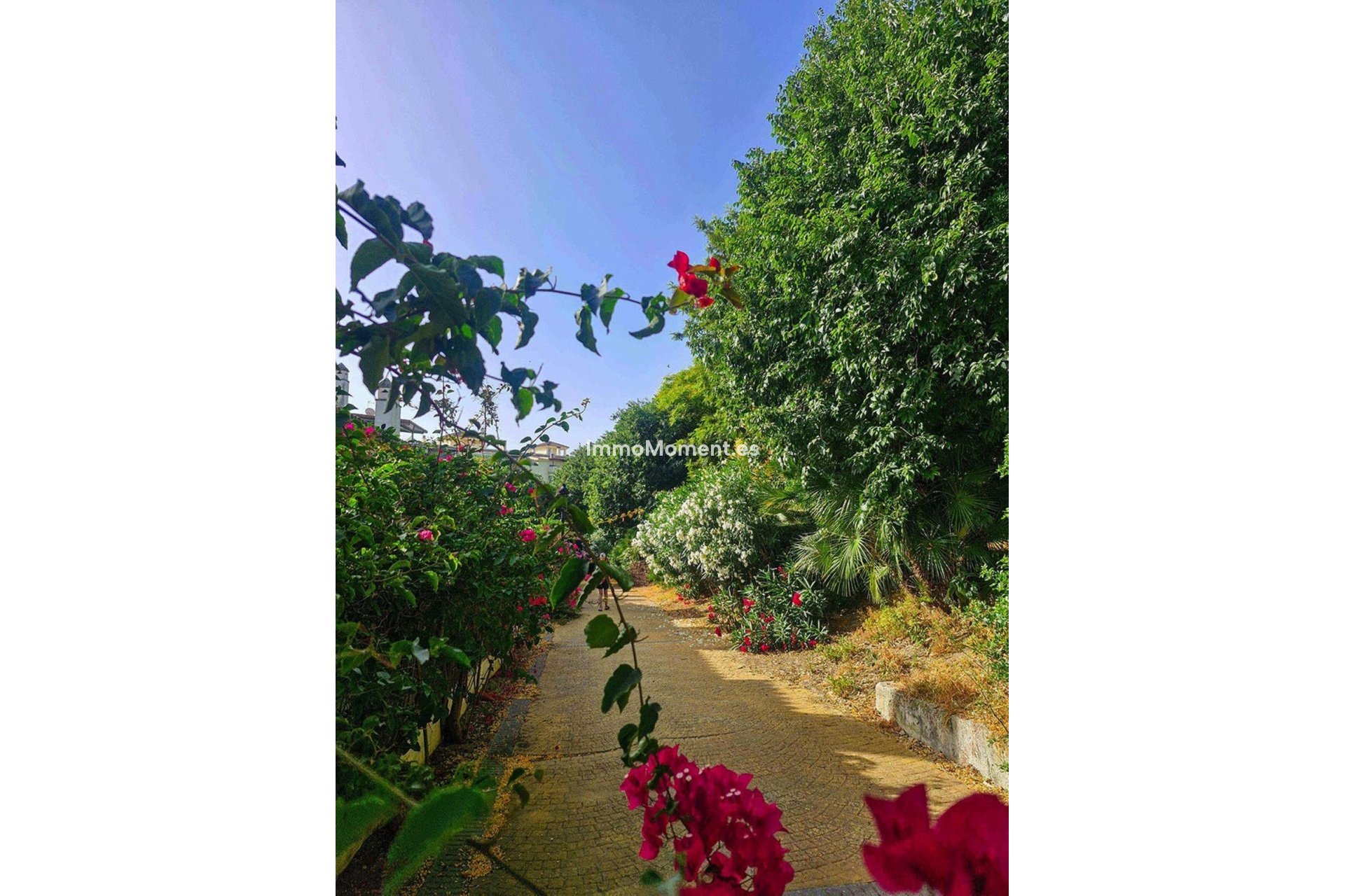 Wiederverkauf - Reihenhaus - Estepona  - Estepona Centro